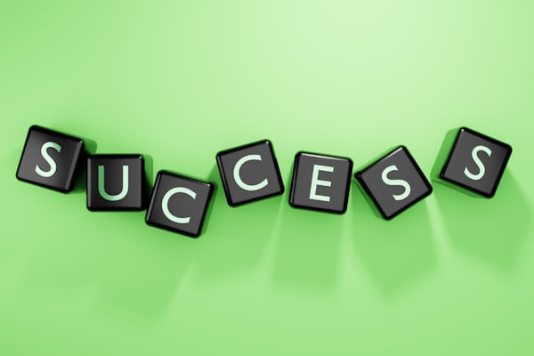success100x.com factors
